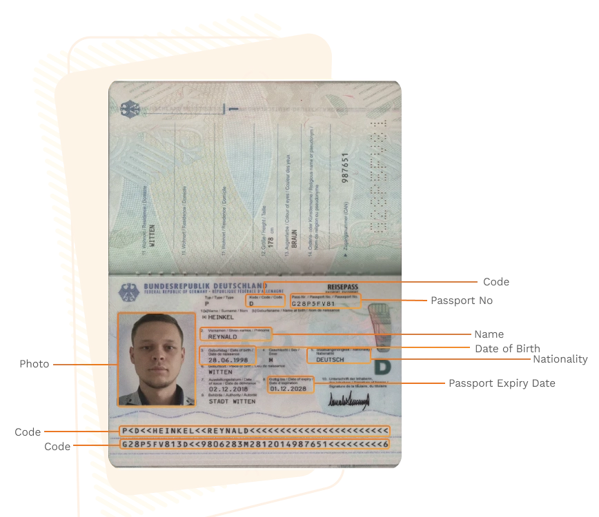 Passport sample for germany showing required details