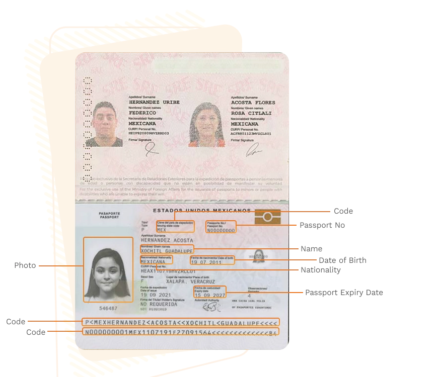Passport sample for mexico showing required details