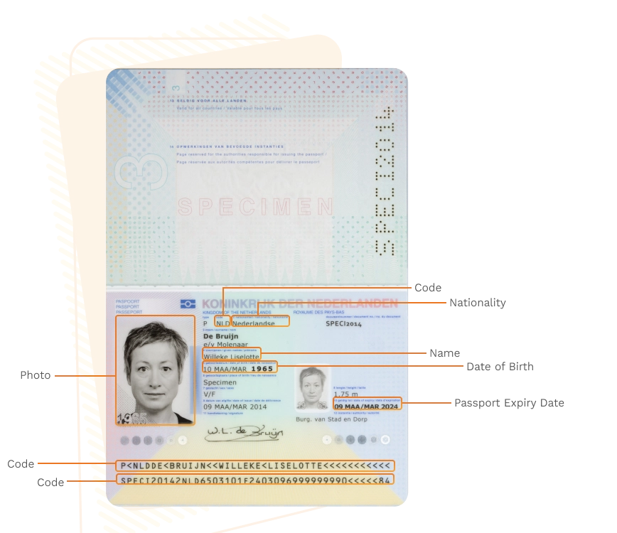 Passport sample for netherlands showing required details